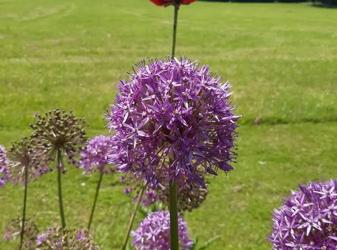 Wirt In Der Spoeck * Neukirchen an der Vöckla